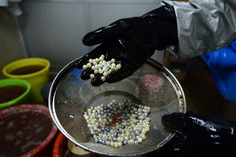 Ngọc trai vịnh Ago